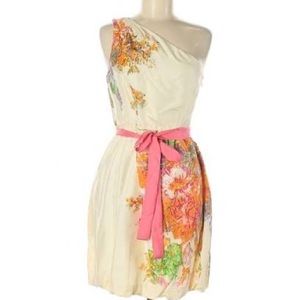 J.Crew Bridget Painted Silk Cocktail Dress